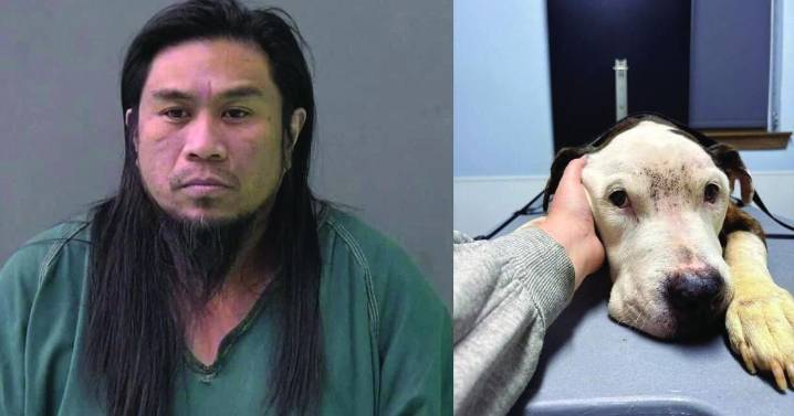 Owner of Dubz: ‘God’s will’ if Killeen dog died, according to arrest affidavit