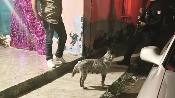 Apuñalamiento en Monclova: detenido por violencia de género