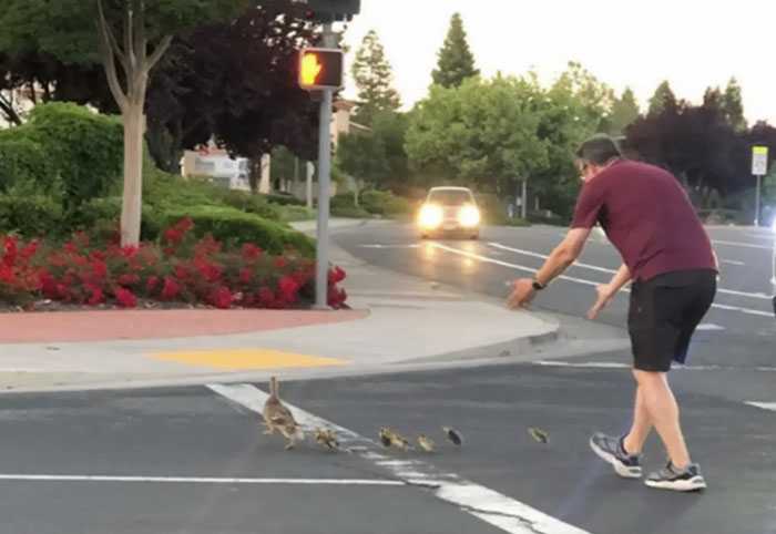 29 Pictures Taken Just Seconds Before Everything Went Wrong