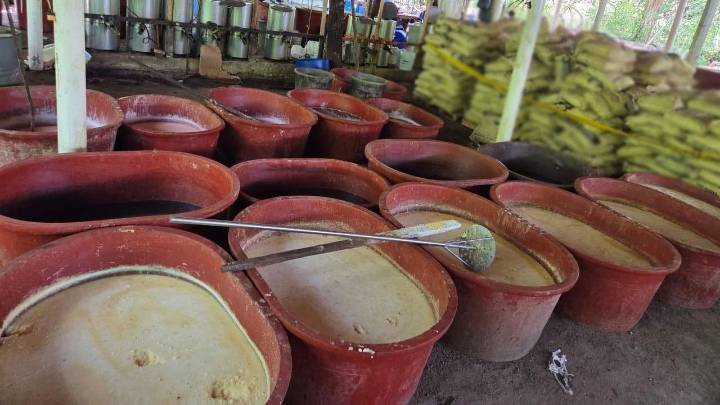 Decomisan 6.5 toneladas de drogas y sustancias en Chiapas y Guerrero