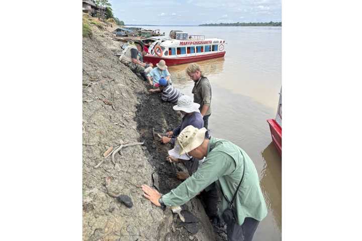Expedición a la Amazonía peruana: las rocas de la Formación Pebas cuentan su historia