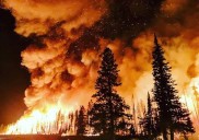 Europa arde bajo un verano histórico: entre incendios, calor y cifras que estremecen