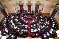 Senado: la oposición buscará convertir en ley el financiamiento universitario y al Garrahan, dos temas incómodos para el Gobierno