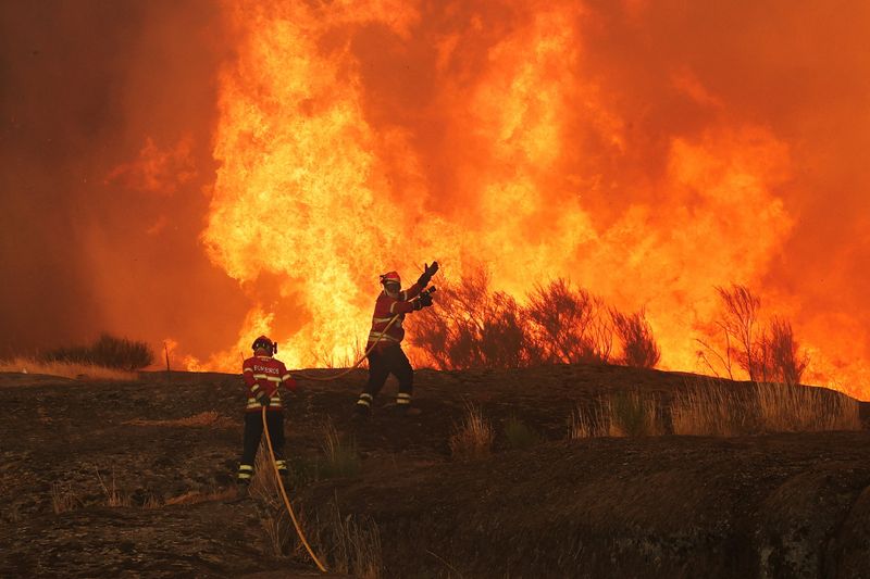 Wildfires fanned by heatwave and strong winds rage across Europe, burning houses and factories
