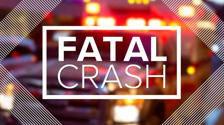 Minivan driver dies after hitting disabled semi truck in Wood County
