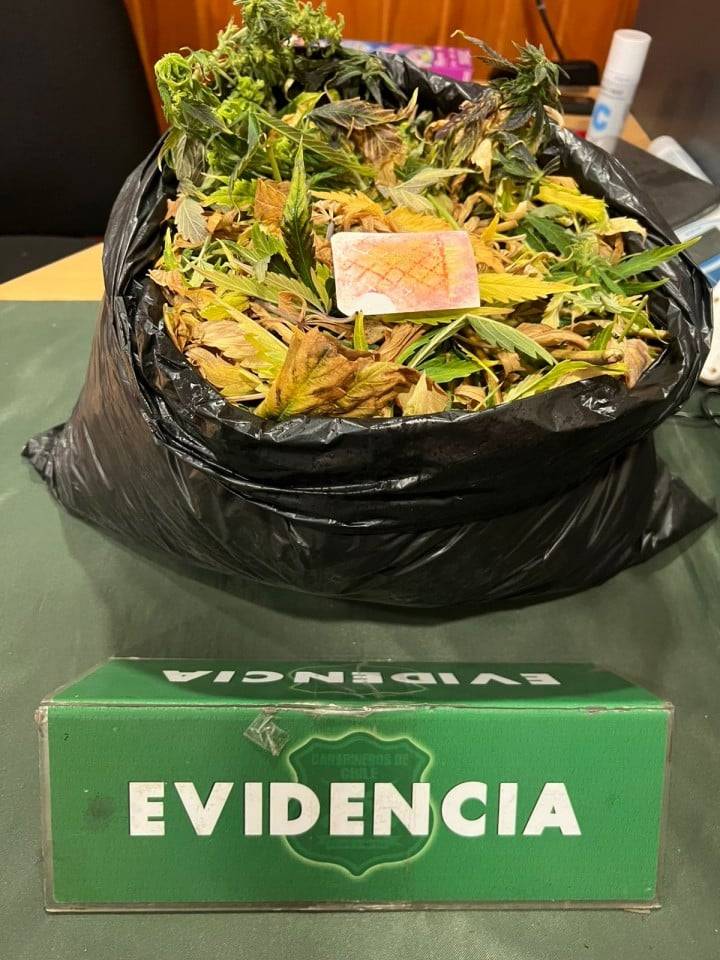 Centauro de Carabineros detuvo a dos extranjeros con más de un kilo de marihuana