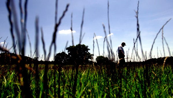 Campbell Vaughn: Tips to keep your lawns looking good in the fall