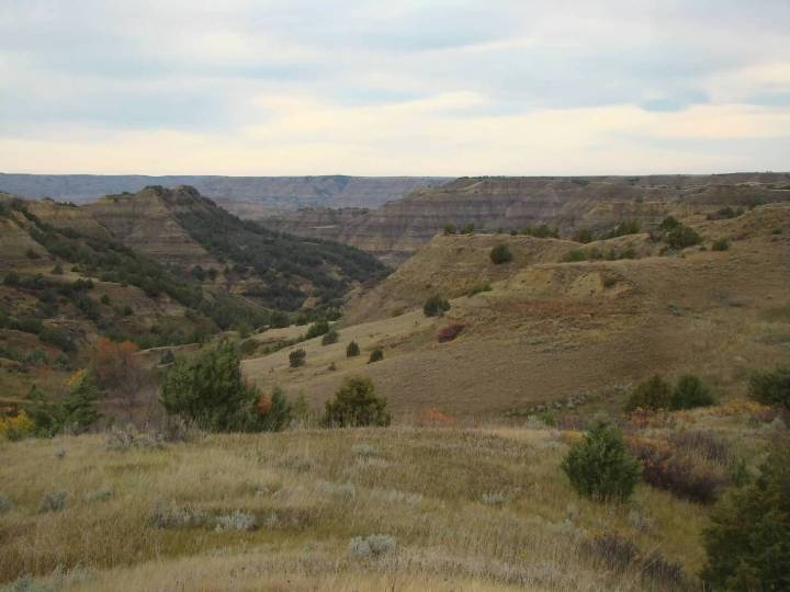 USDA proposal to repeal Roadless Rule on national forest lands draws contrasting views