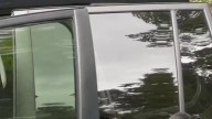 Black bear caught opening car door