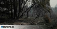 Detenido un hombre por el incendio de Ourense en el que hubo tres brigadistas heridos: se le acusa de imprudencia