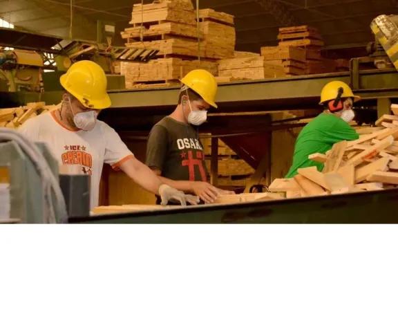 Suba de aranceles de EE. UU. a Brasil: oportunidad y desafíos para la industria de la madera en Misiones