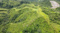Ecopetrol avanza en la restauración de 15,2 hectáreas de bosque en la vereda Cagüí Primavera