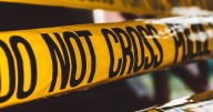 Whitfield Co. deputies under investigation after shooting 2 'aggressive dogs,' killing 1
