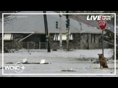 American Human Society reflects on animal rescues during Katrina