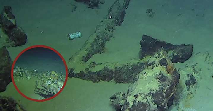 Hallazgo histórico: Francia descubre un buque mercante del siglo XVI a más de 2,500 metros en el Mediterráneo