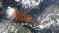 Surge nueva perturbación con 60% de probabilidades de convertirse en ciclón: ¿Dónde?