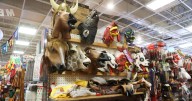 Toy stores grapple with tariffs that threaten to drive up prices