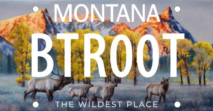 New Montana license plate supports Selway Bitterroot Frank Church Foundation
