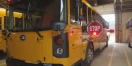 Safety rules when driving around school buses