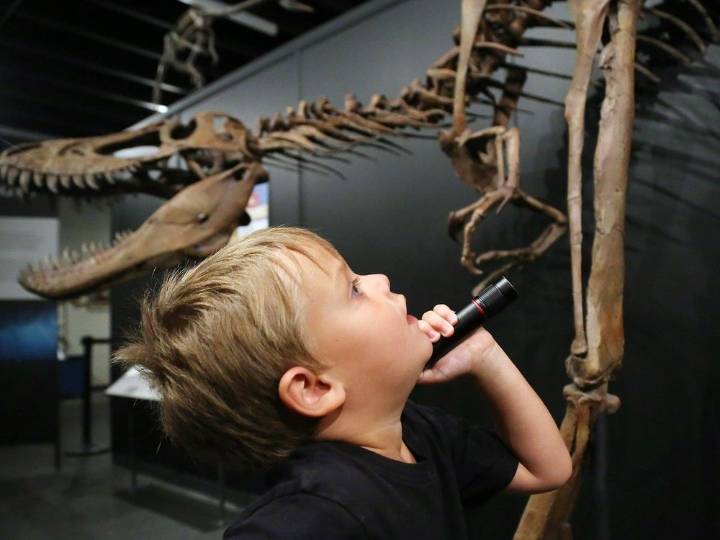 Quinte Museum of Natural History in Trenton a unique attraction