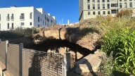 Desalojan una cueva ocupada en Canarias y sorprende lo que encontraron dentro