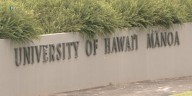 Police seek suspect who allegedly followed, groped woman near UH Manoa