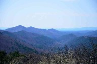ARKANSAS WILDERNESS AREAS: With its extreme biodiversity, Caney Creek Wilderness Area is the state’s first federally designated wilderness area