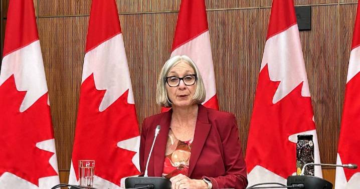 Air Canada strike: Federal government to probe unpaid work
