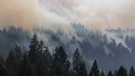Envían 106 bomberos ticos para cooperar contra incendios en Canadá