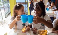 Alimentación escolar se reactiva en el Tolima
