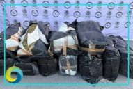 Aseguran 200 kilos de marihuana en Nuevo León; hay un detenido