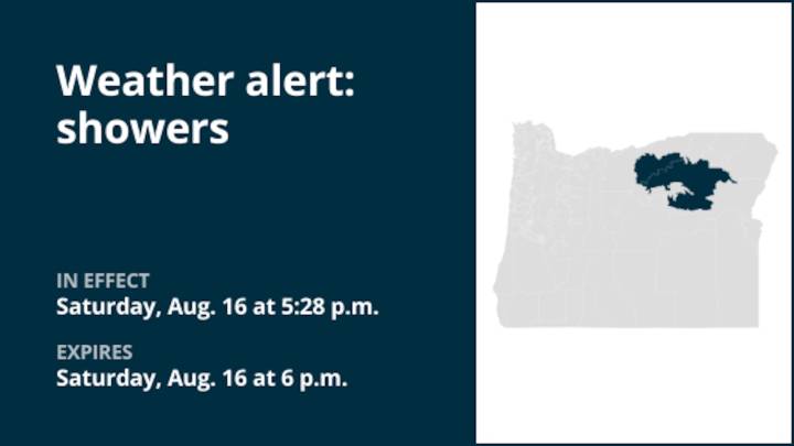 Weather alert issued for heavy rain and showers with small hail Saturday evening