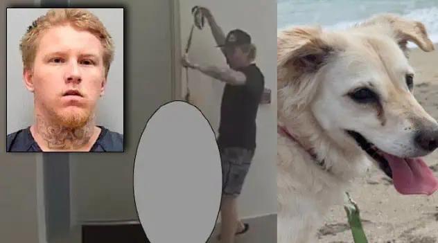 Florida Man Sentenced To Maximum Prison Term For 2024 Brutal Dog Beating
