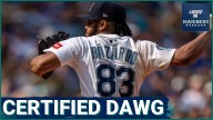 Why Eduard Bazardo Is the UNSUNG HERO of the 2025 Seattle Mariners