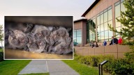 Health Officials Still Looking For Lodge Guests Exposed To Rabid Bat Colony