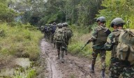 FANB incautó casi tres toneladas de drogas en el estado Amazonas