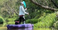 Environmental group warns Sumter to stop dumping PFAS now