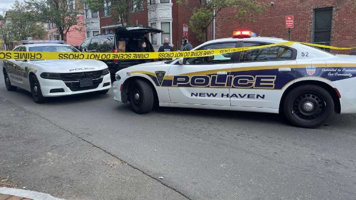 New Haven crime data shows decrease in nearly all categories