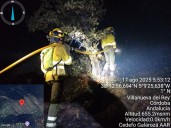 Controlado el incendio en Villanueva del Rey (Córdoba) y reabierta al tráfico la N