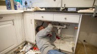 AI is coming for jobs — just not blue collar ones, yet