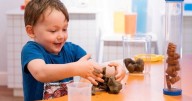 Knowledge dump: Museum launches exhibit all about poo