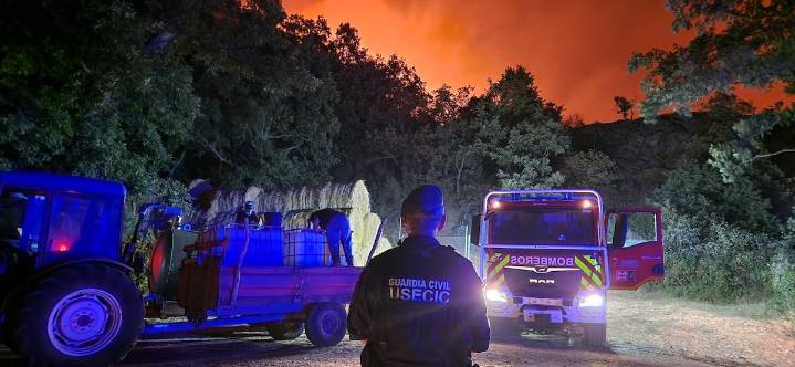 Última hora de los incendios en España, en directo | La meteorología ayuda a mejorar la situación de los incendios en Extremadura, Galicia y Castilla y León