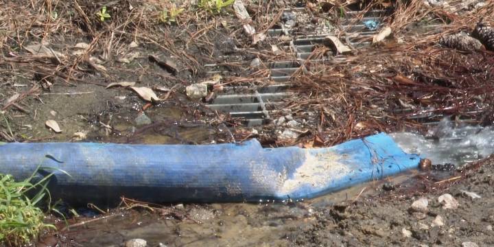 Yellow, gritty water issues raise questions in Aiken