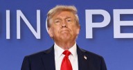 Trump’s Next Target: All 55 Million U.S. Visa Holders