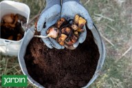 Compost minimalista. El secreto para lograr un abono muy fácil de hacer y sin malos olores