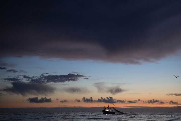 AI is fast-tracking climate research