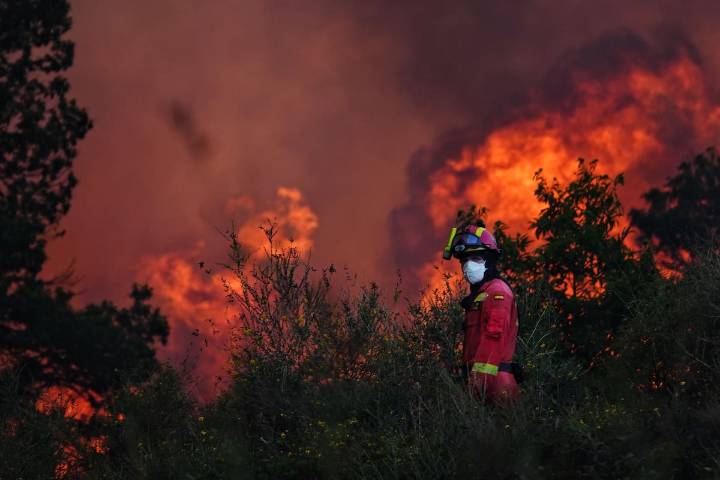 Más de 1100 muertos e incendios devastadores. España sufrió este año su peor ola de calor “desde que existen registros”
