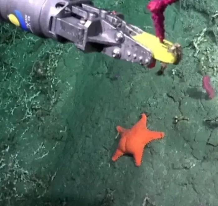 La estrella midió más que cualquier político, la influencia de la IA en la política y cuando los drones son una buena noticia