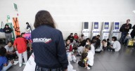 ¿Por qué se van y qué destinos buscan los colombianos que piden refugio en el exterior?