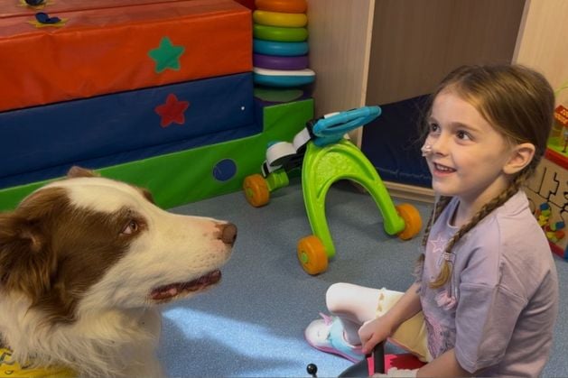 Play therapy dog making life better for patients at Belfast Children’s Hospital